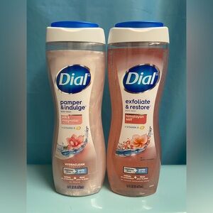 Dial Body Wash 16 fl oz (2 Pack ~ Silk & Magnolia and Himalayan Salt)